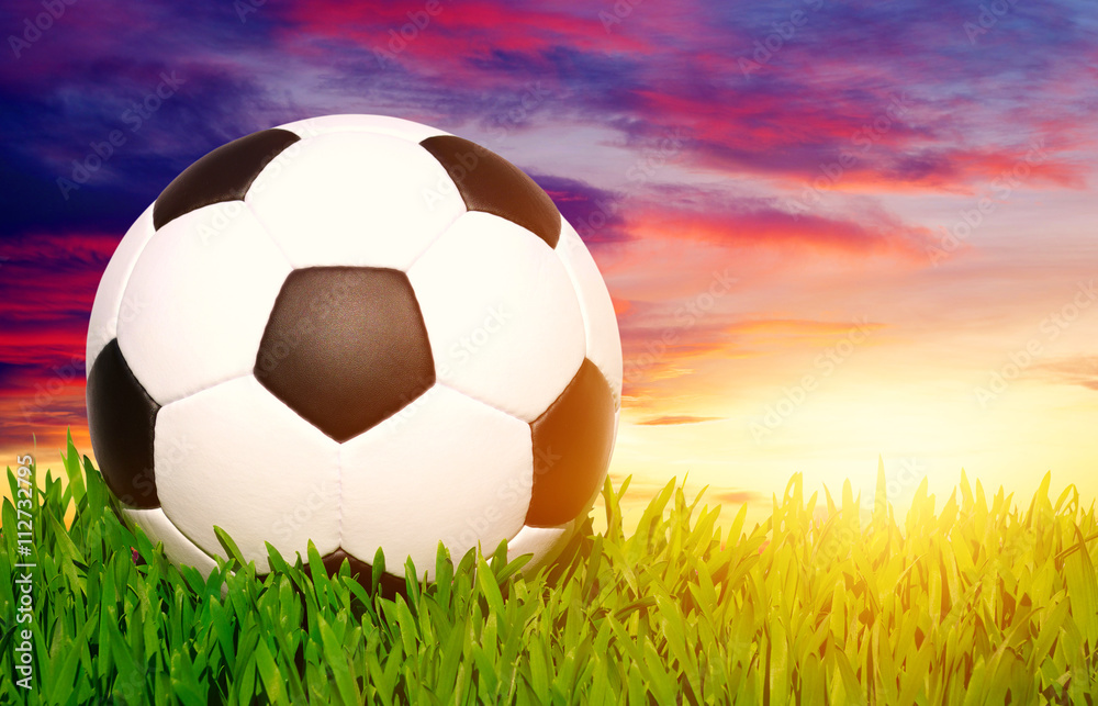 soccer ball on the grass