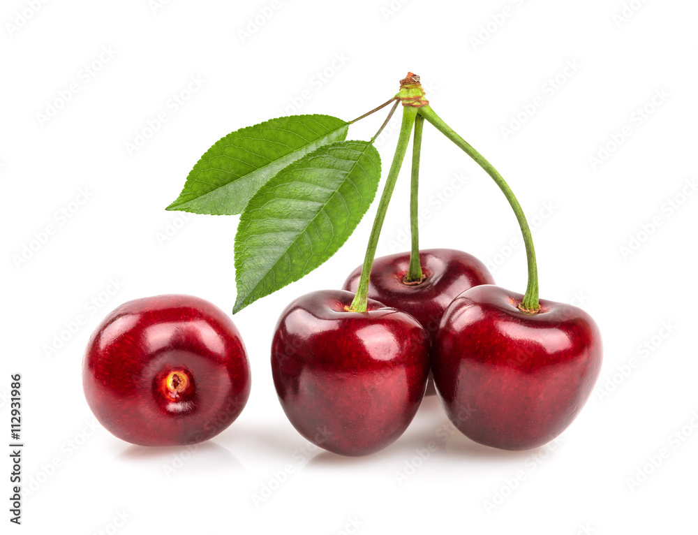 cherries isolated