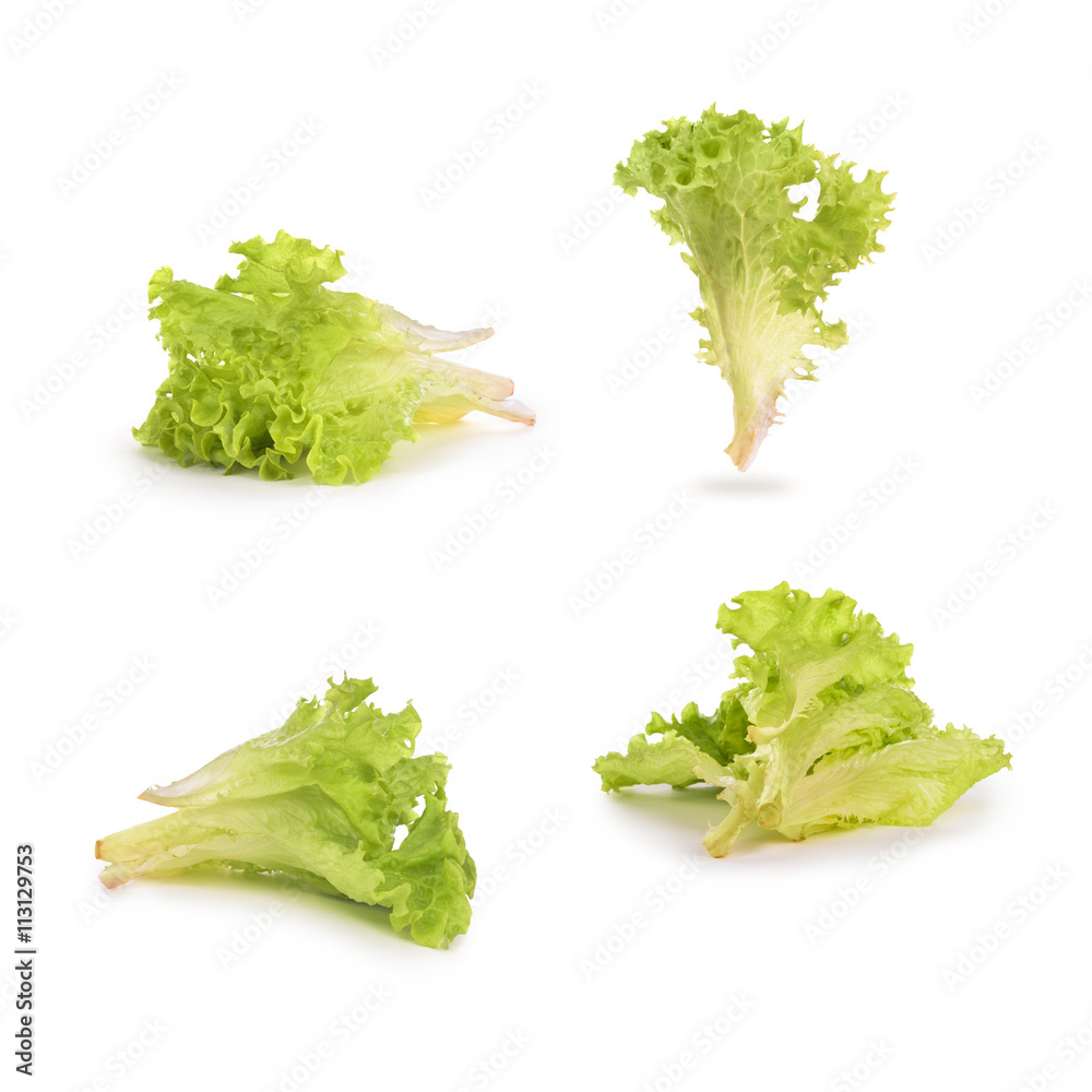 Mini cabbage collection isolated on white background