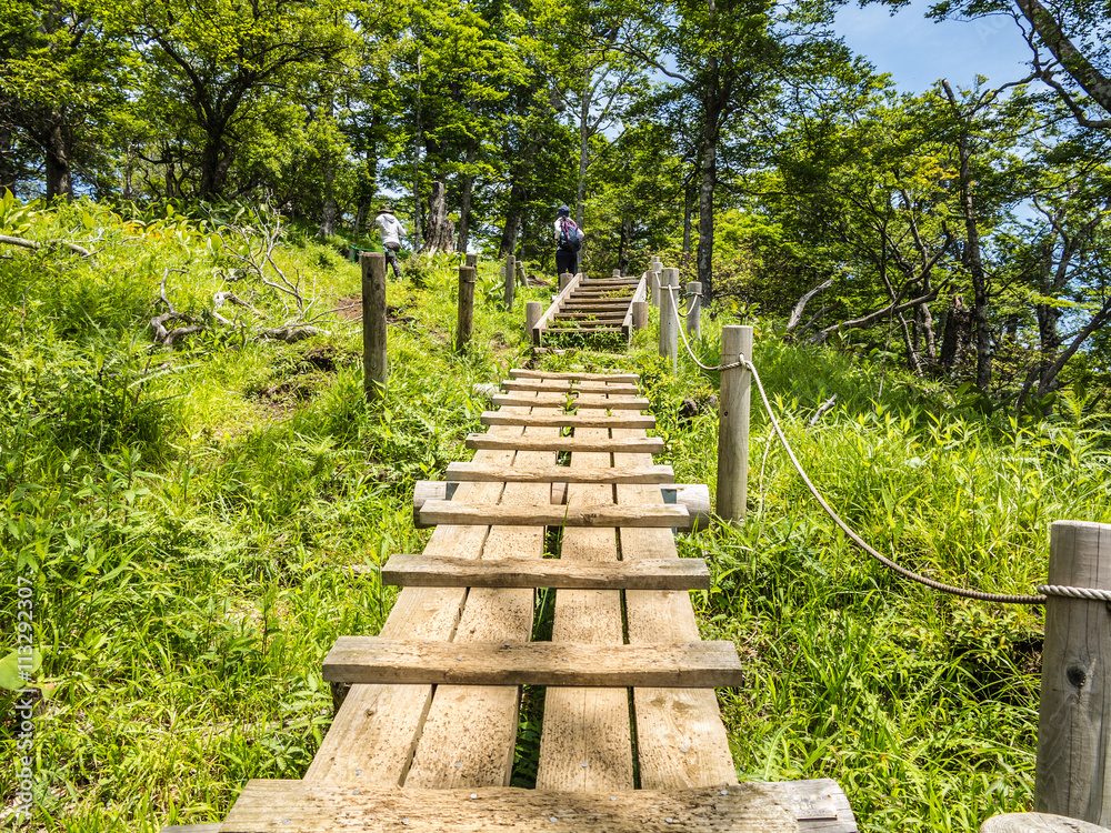 西丹沢の木道