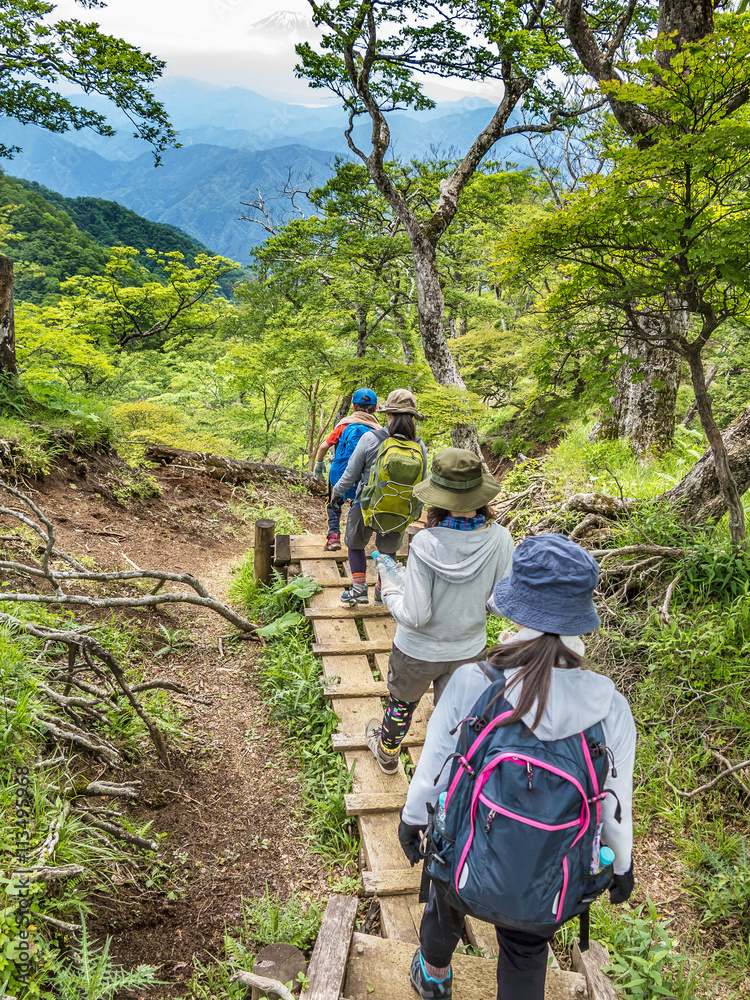 登山道