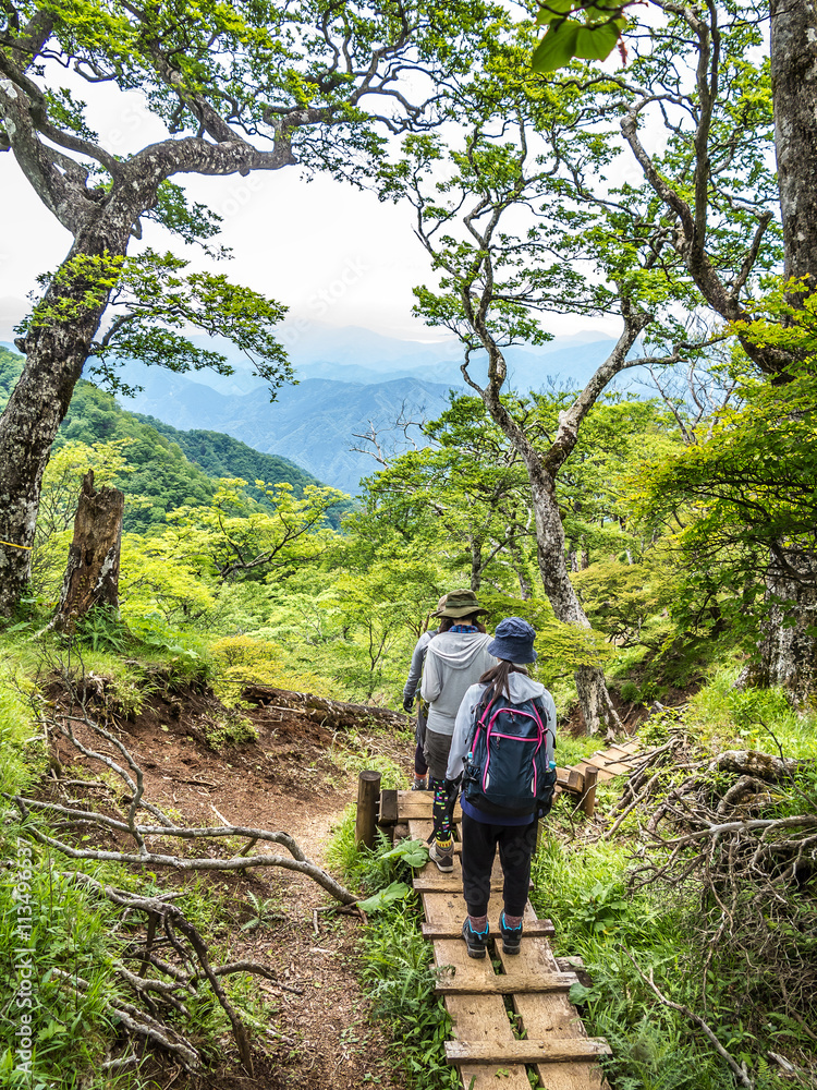 登山道