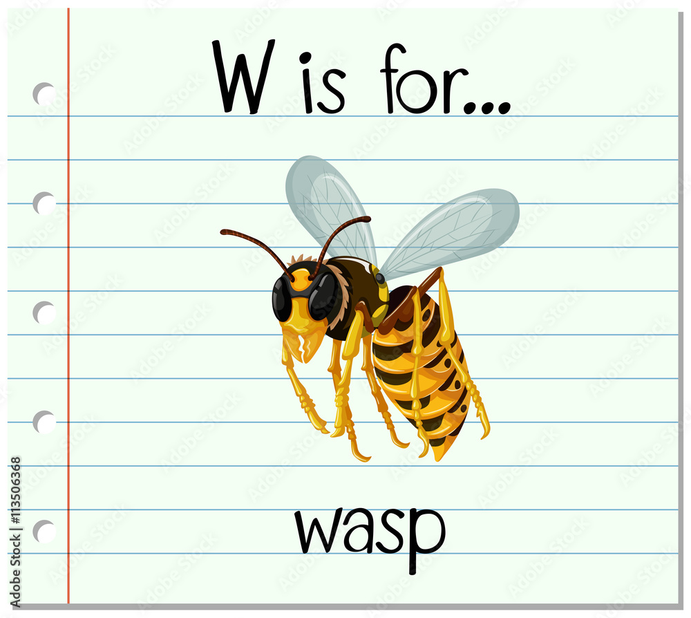 Flashcard letter W is for wasp