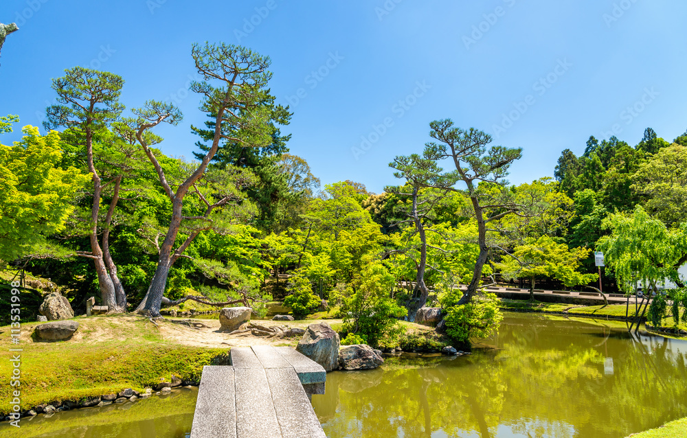 日本关西地区奈良公园的场地