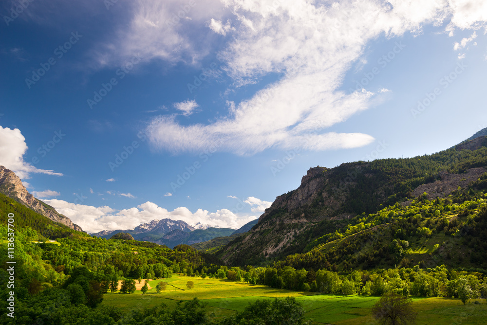 Green and yellow blooming meadow set amid idyllic mountain landscape with snowcapped mountain range 