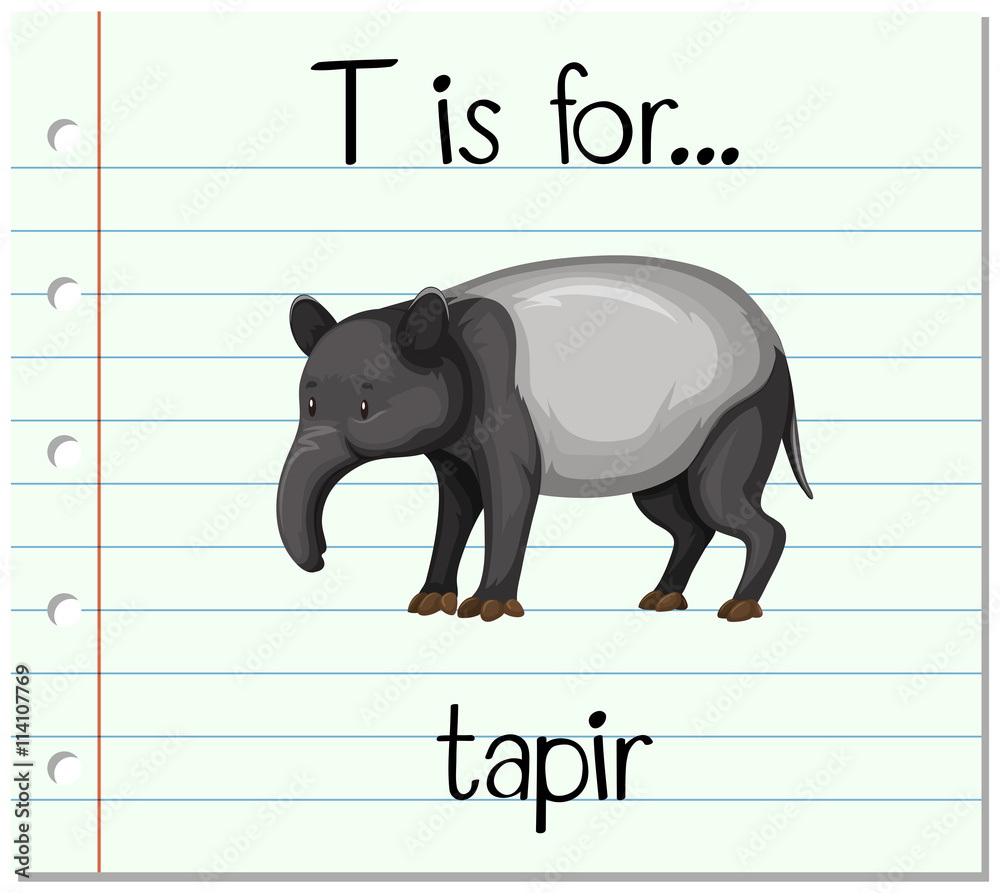 抽认卡字母T代表tapir