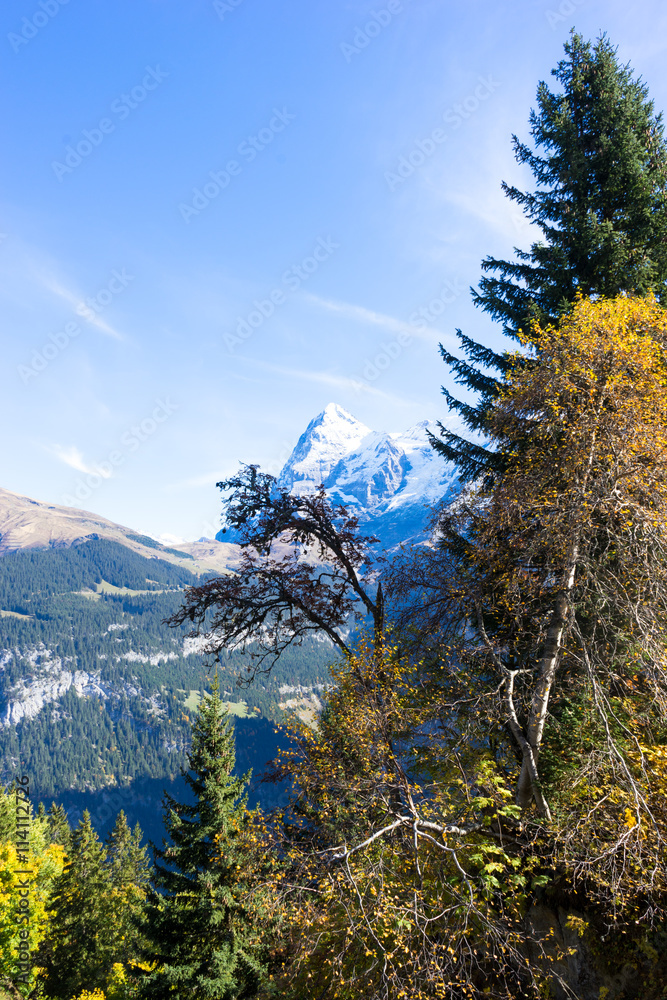 阿尔卑斯山脉的雪景