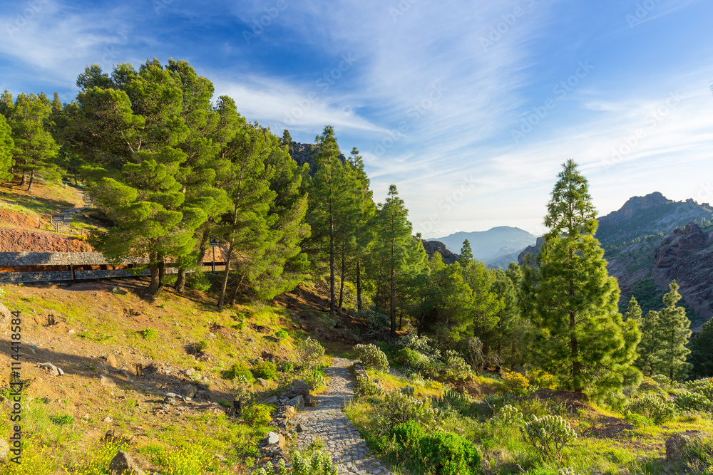 Mountains of Gran Canaria island, Spain