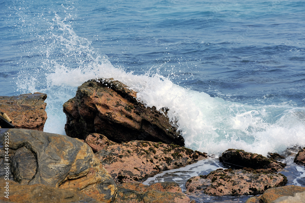 Wave of the ocean