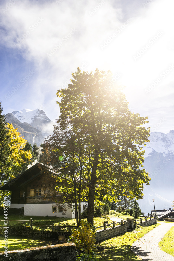 stone and wood houses in forest near alpes mountains swiss