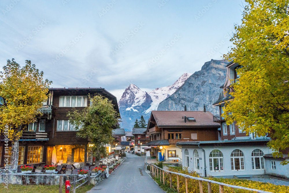 houses of small village near alpes mountains in switzerland