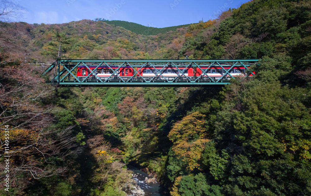 日本箱根市秋季铁路桥和火车的美丽山景