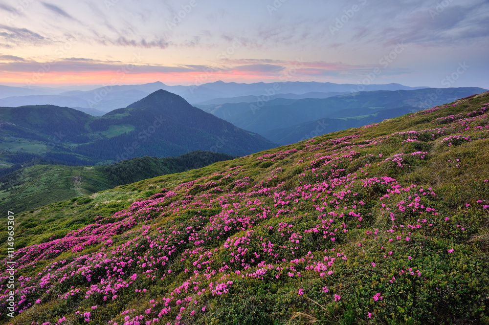 Warm twilight in mountains