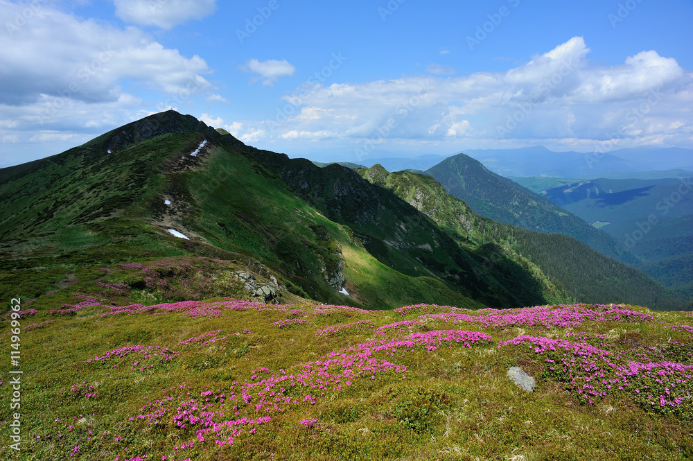 夏日山脉