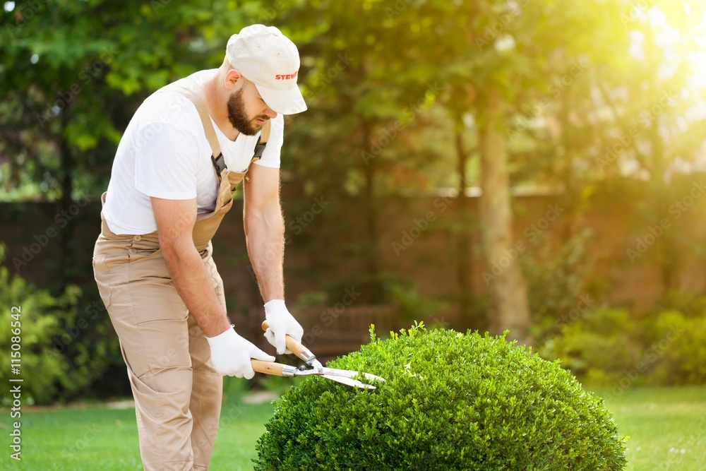 Gardening.