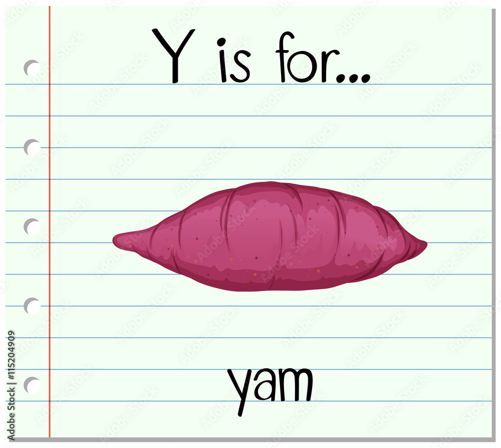 Flashcard letter Y is for yam