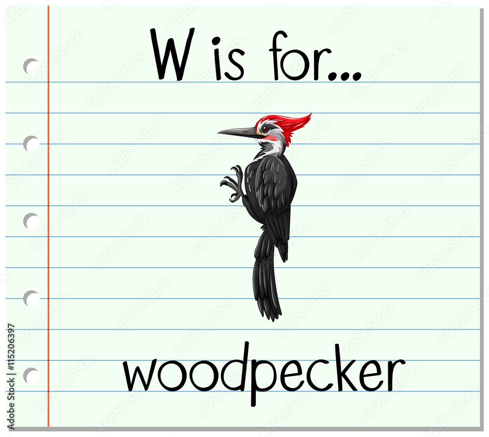 Flashcard letter W is for woodpecker