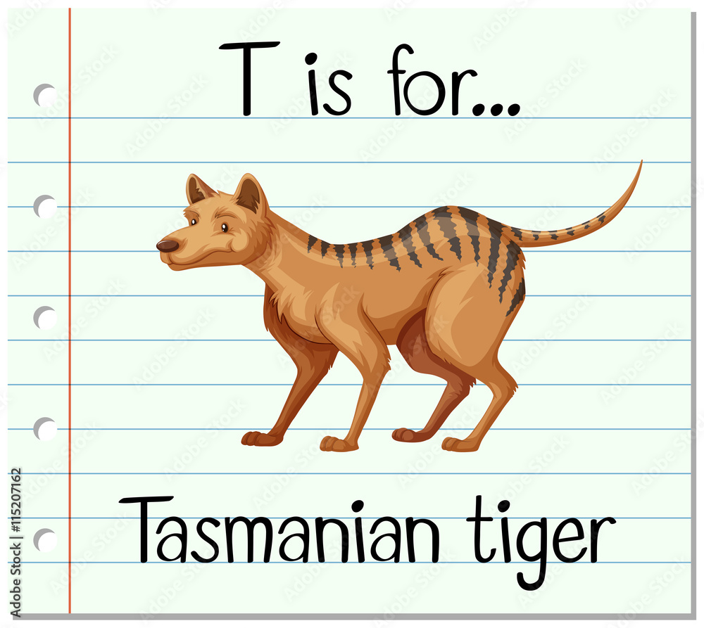 Flashcard letter T is for tasmanian tiger