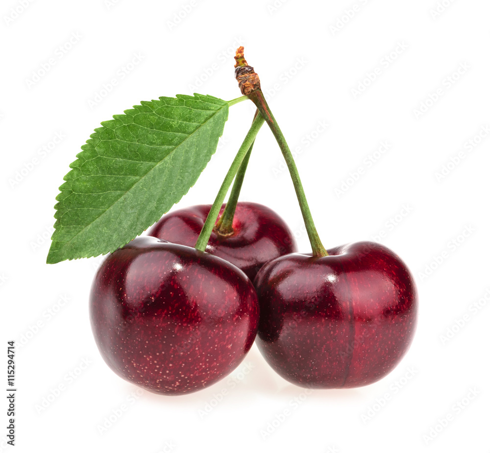 cherries isolated