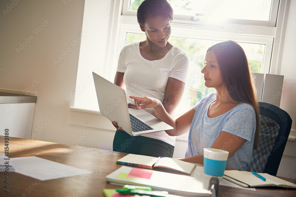 Two female business partners working on a laptop