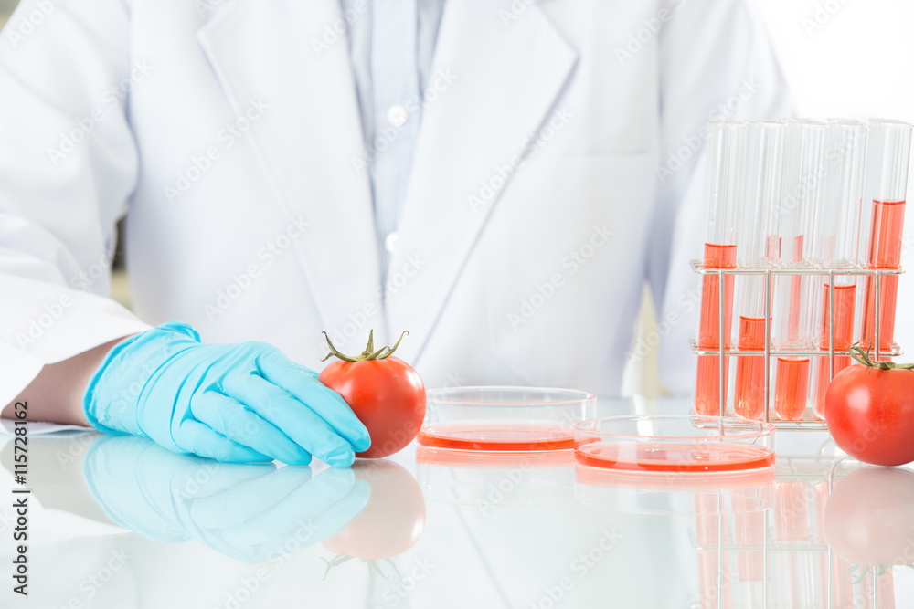 Asian female scientist testing genetic modification food will be