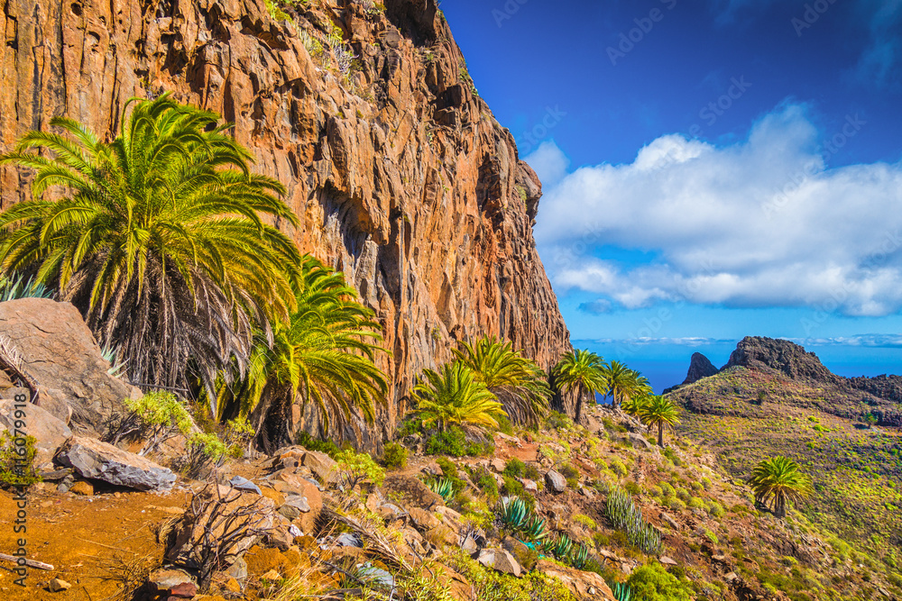 Amazing volcanic scenery with palm trees, Canary Islands, Spain