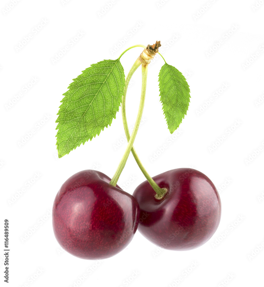 Sweet cherry isolated on white