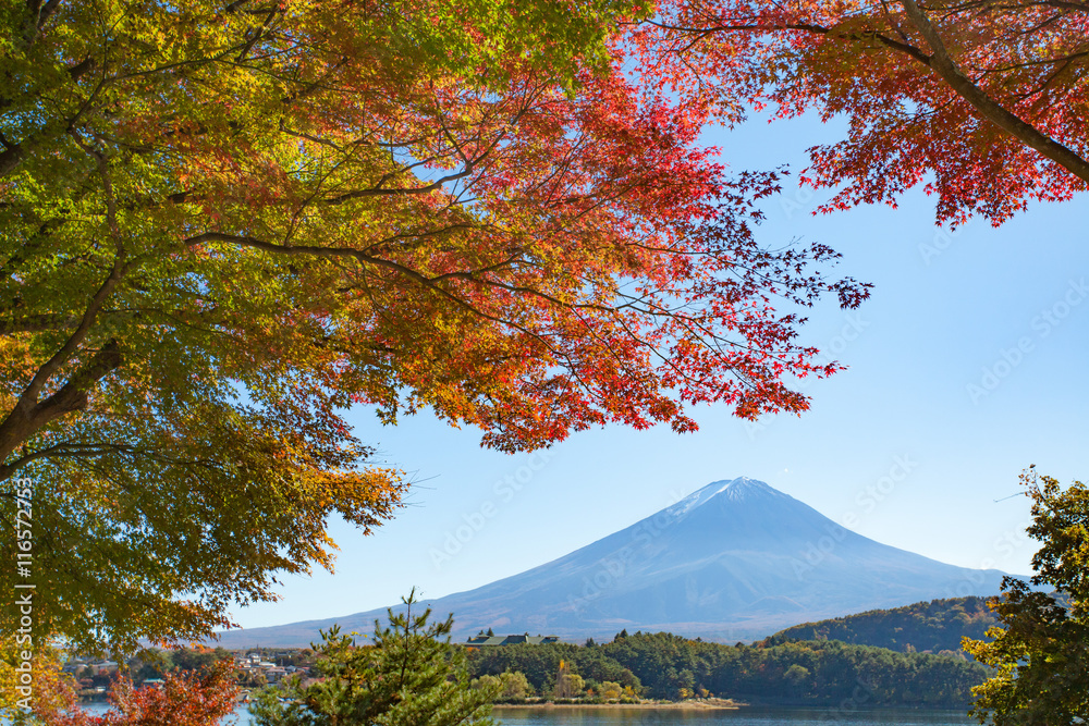 秋季河谷湖的秋树和富士山