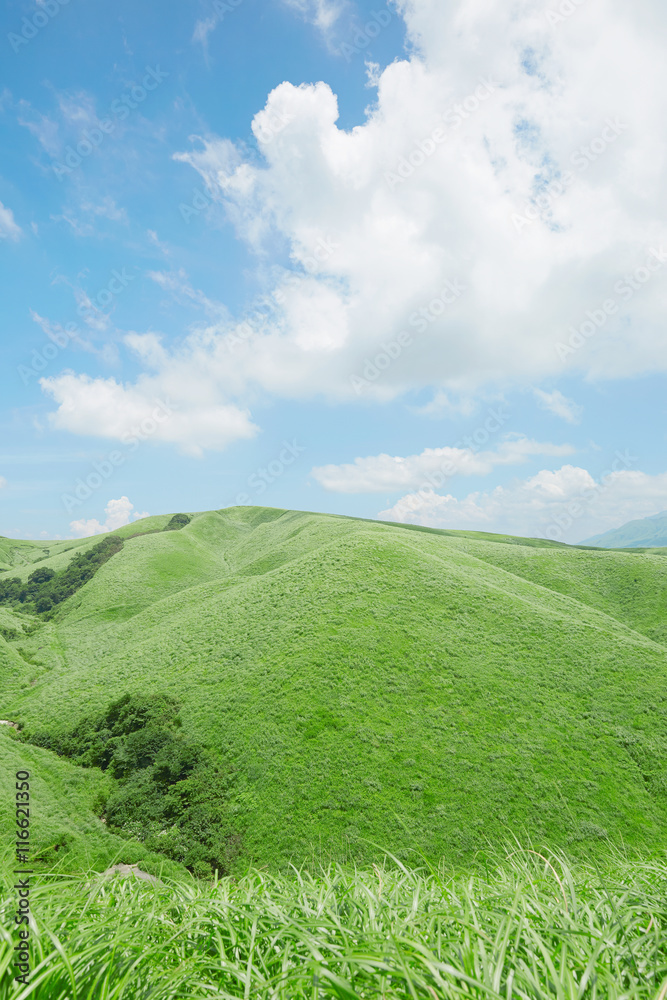 夏の阿蘇の風景