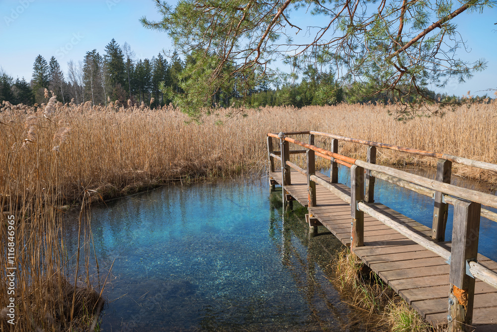 Holzsteg an den Ostersen的Blaue Gumpe und Quelle