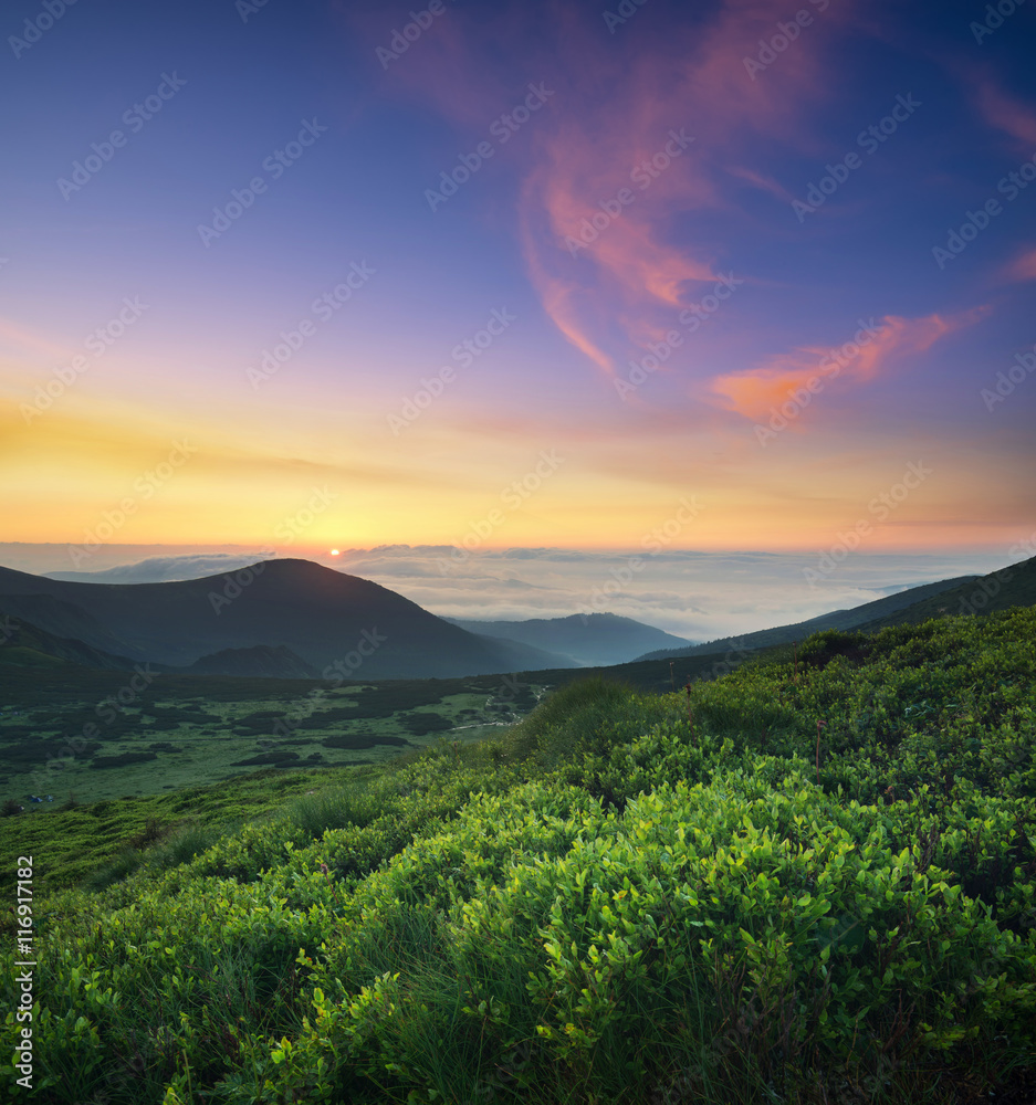 日出时山上的草地。夏天美丽的自然景观