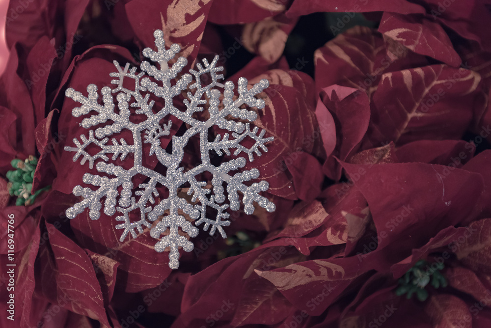 枫叶上的雪花