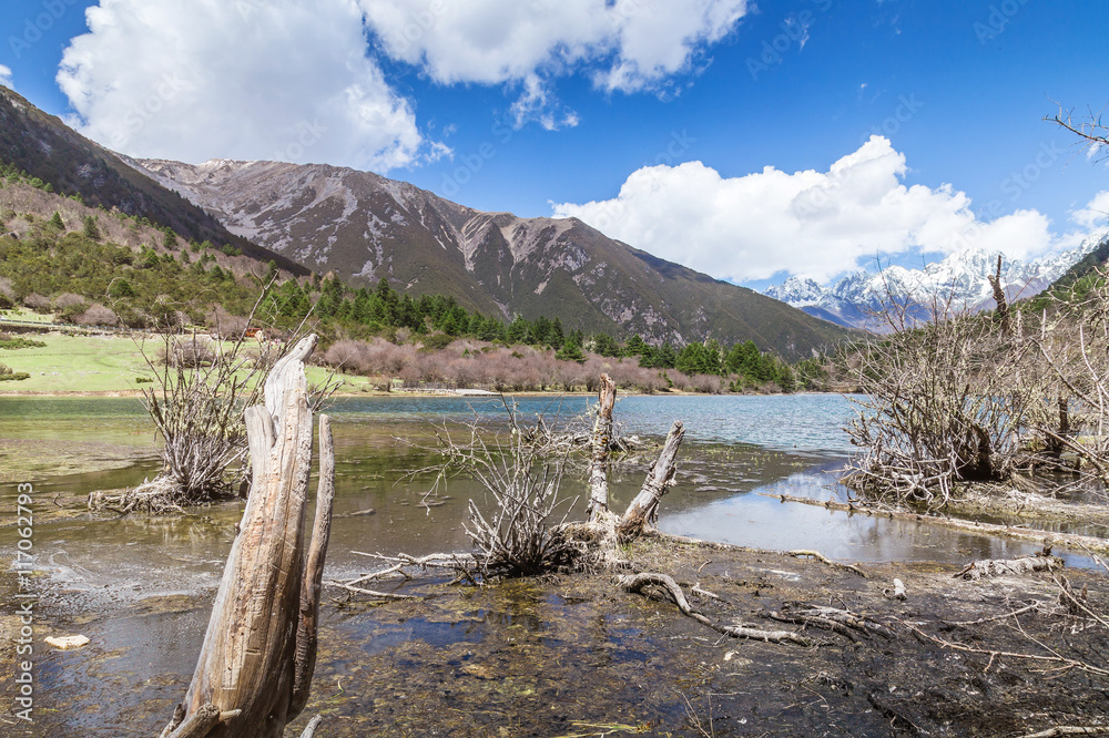 view of beautiful autume in Scenic and Historic forest and lake