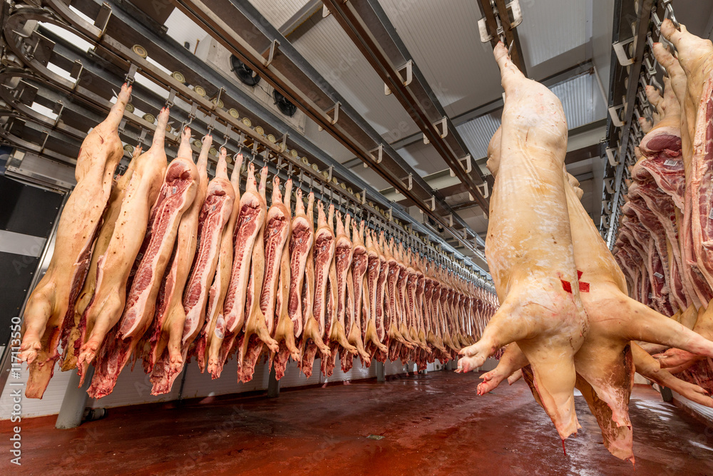 Chopped pig at a factory