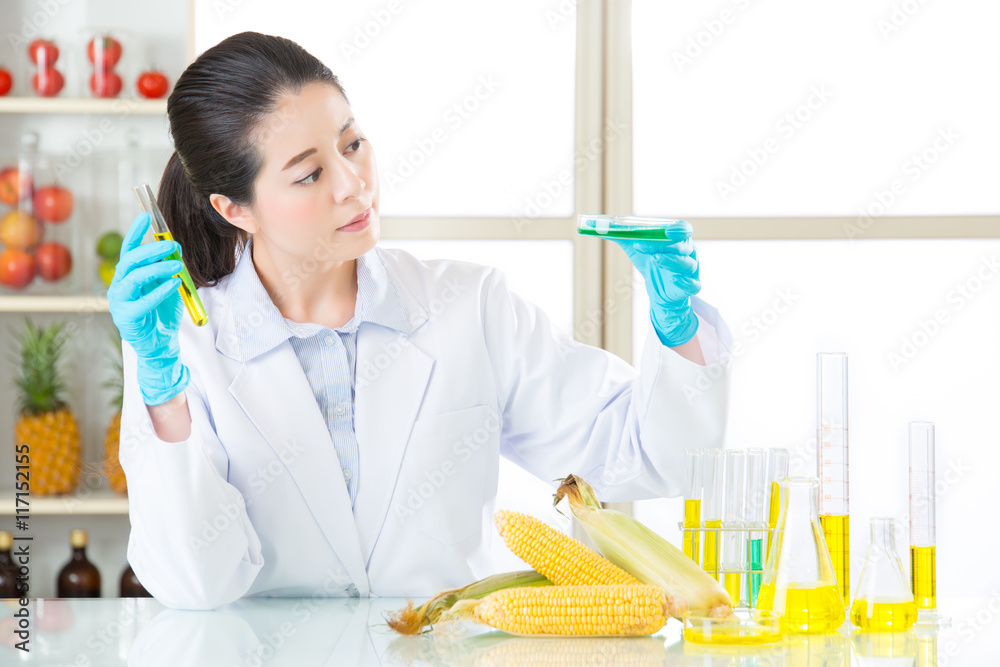 female scientist looking for gmo corn dna for safety