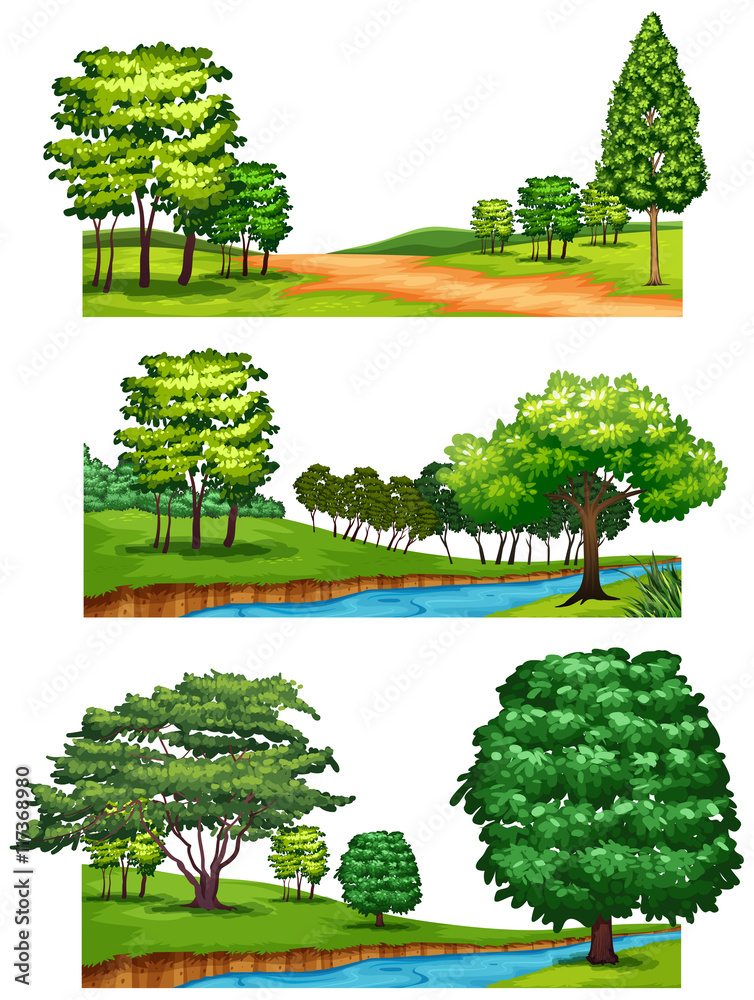 Nature scenes with trees and rivers