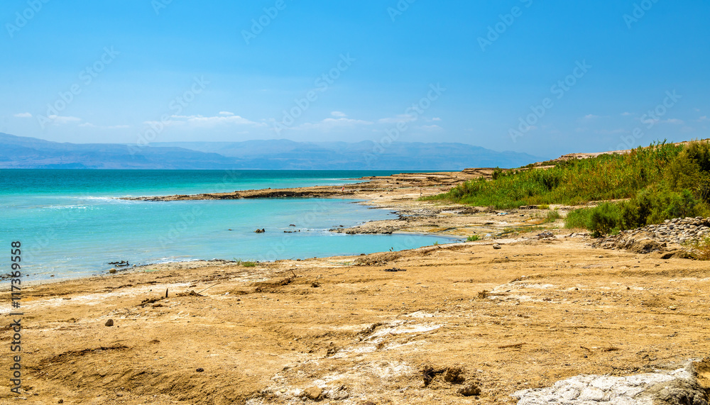 死海海岸线景观