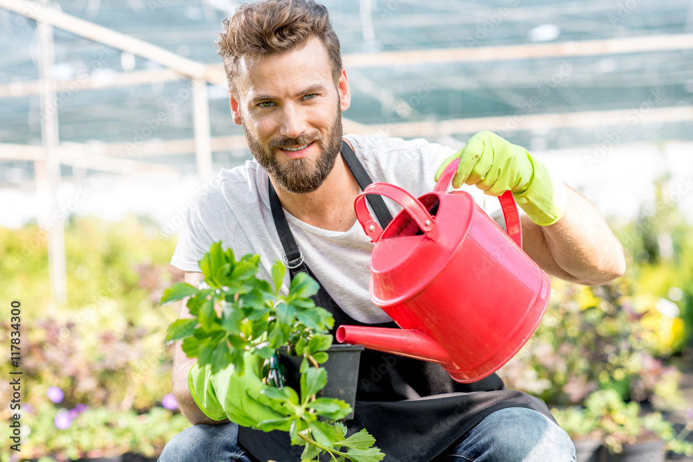 Handsome gardener in apron watering flowers with pink watering can. Worker taking care of plants in 