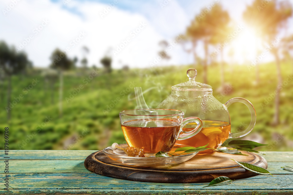 Cup of hot tea with plantation on background