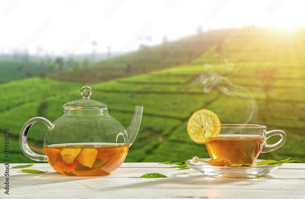 Cup of hot tea with plantation on background