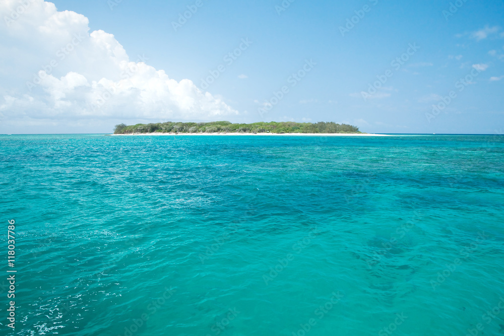 Lady Musgrave Island Queensland Australia