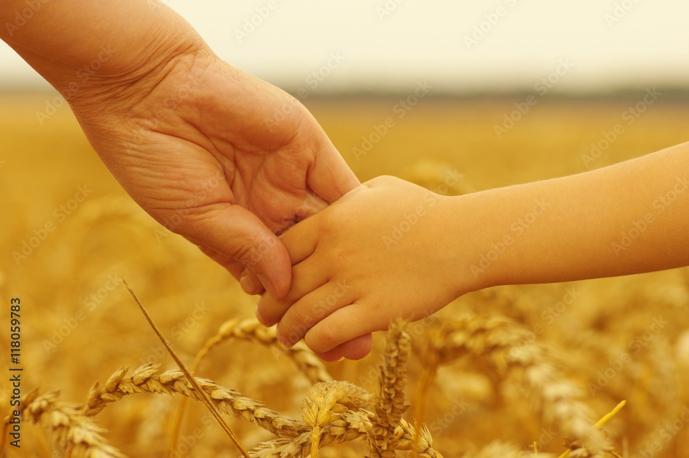 Hands of mother and daughter