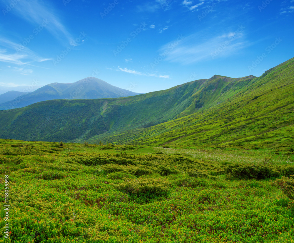 夏日山景