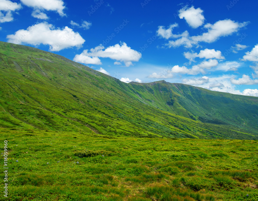 Mountain landscape in the summer