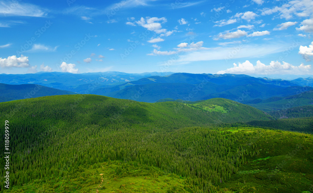 Mountain landscape in the summer