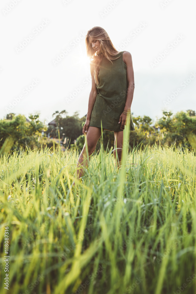 美丽的年轻女士穿过草地