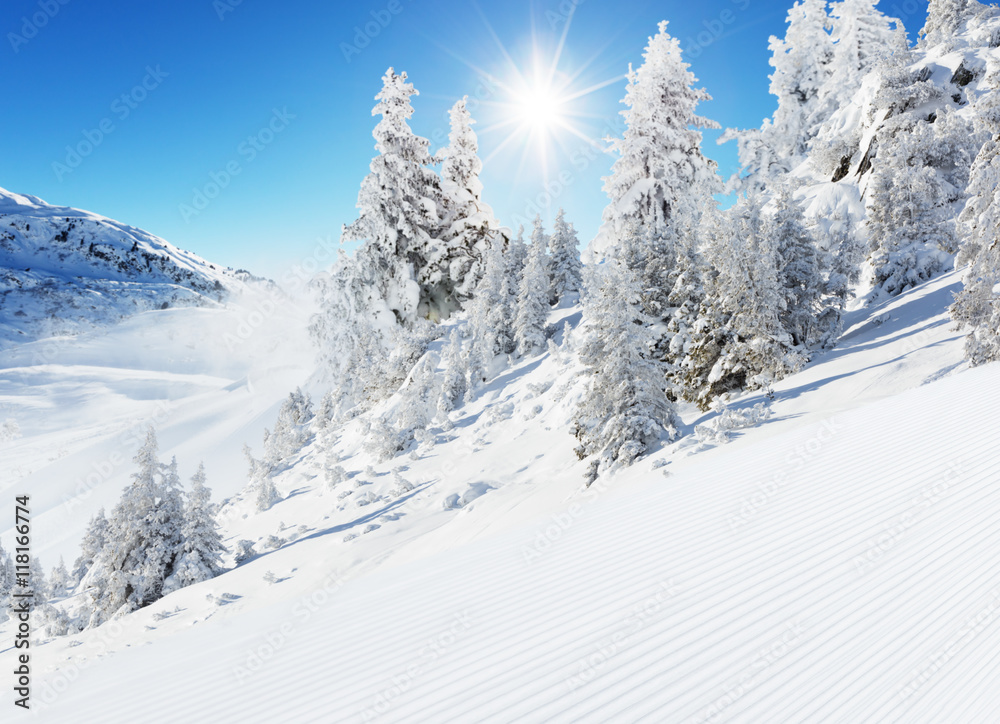 美丽的冬季景观，理想的滑雪道