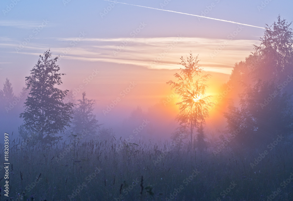 朦胧的夏日早晨田园诗般的风景，柔和的粉红色和小夜曲