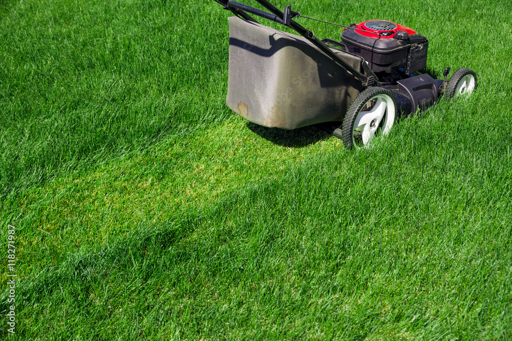 Lawn mower on green lawn