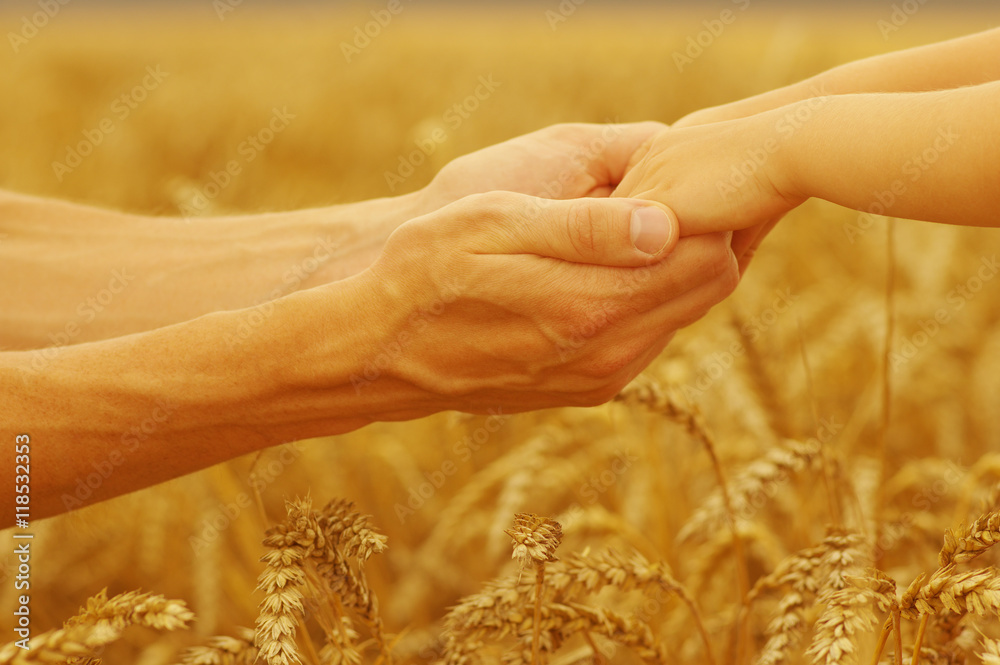 Hands of father and daughter